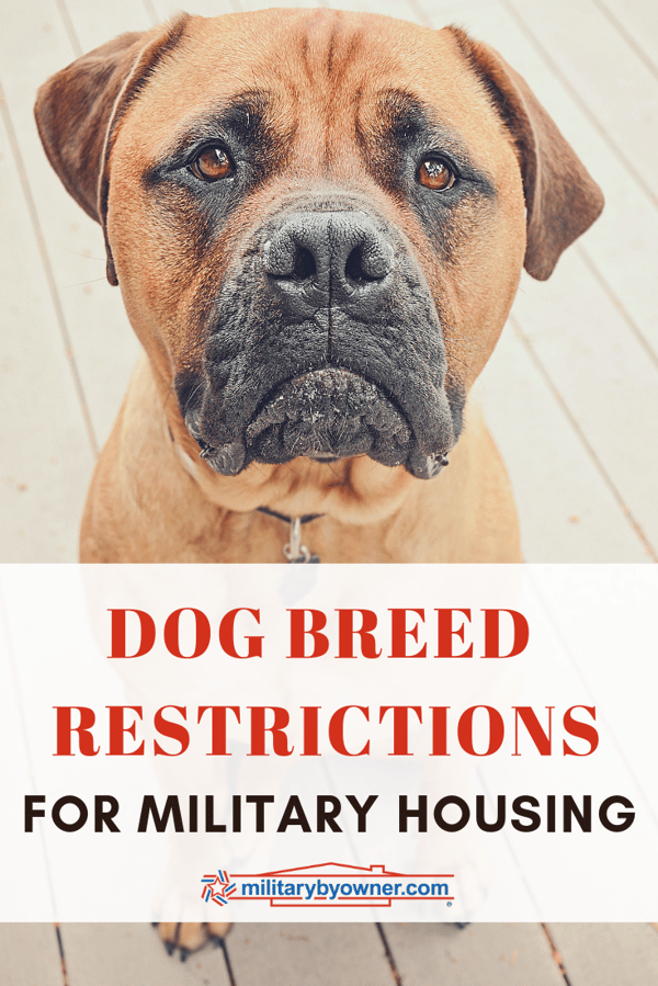 Dog Breed Restrictions for OnBase Military Housing